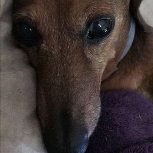 Meet your Posher, Kei-dee